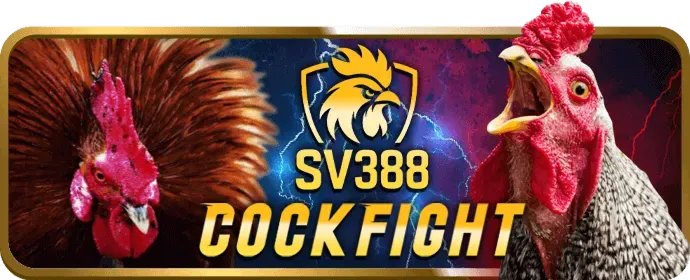 Ưu Đãi Trò Chơi vn100 link vào